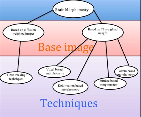 morphometry|morphometry techniques.